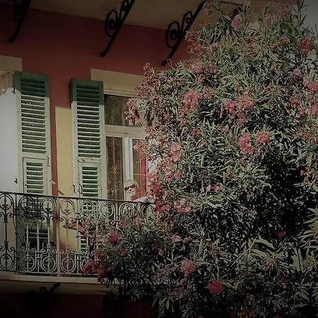 Restaurant Oasis Hotel 3*