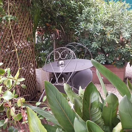 Restaurant Oasis ניס