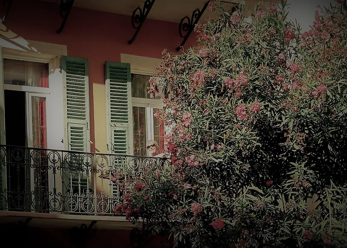 Restaurant Oasis מלון 3*